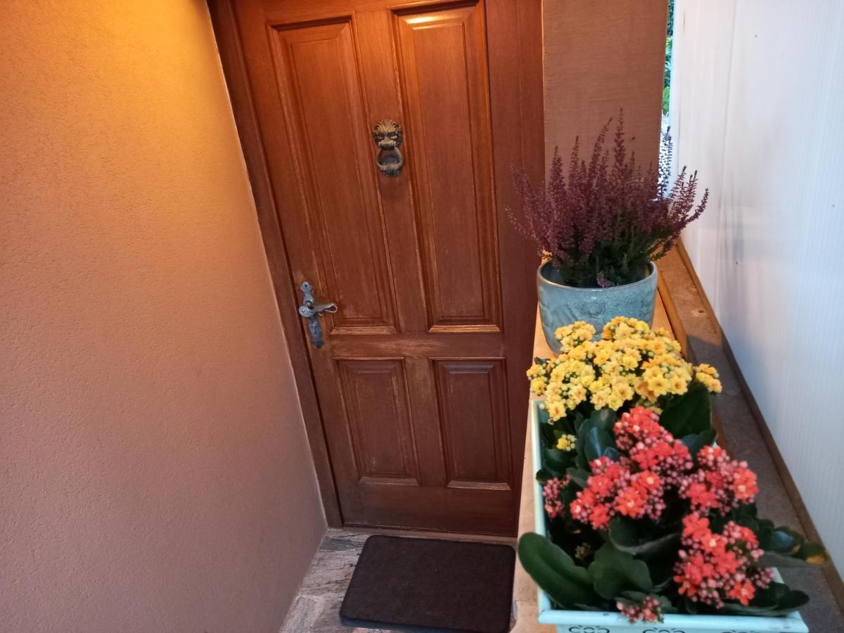Blue Deer Apartment Umag Bagian luar foto
