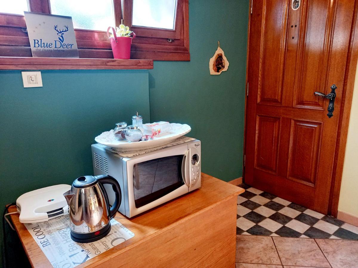 Blue Deer Apartment Umag Bagian luar foto