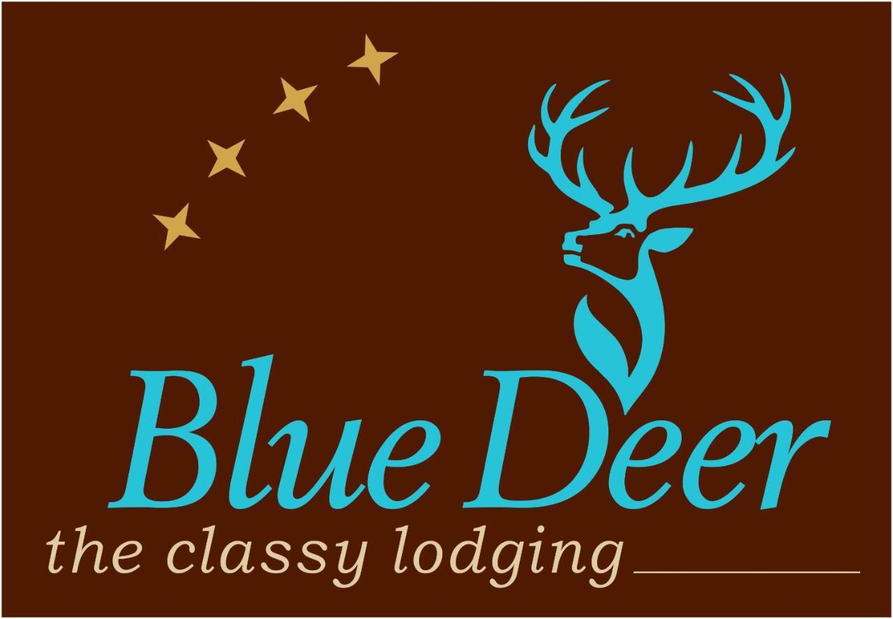 Blue Deer Apartment Umag Bagian luar foto